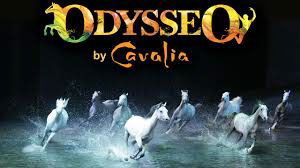 The Odysseo horses
